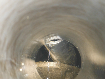 施工事例：排水管内の位木の根の除去