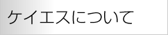 ケイエスについて