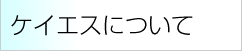 ケイエスについて